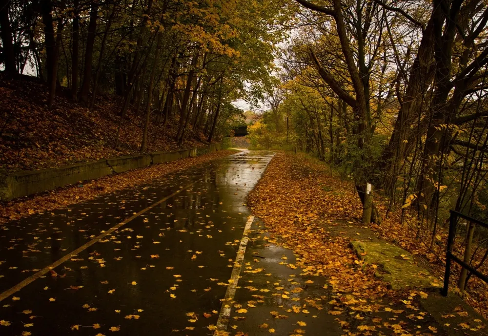 Atenționare meteorologică - Cod galben de vijelii și ploi. Rafale de până la 110 km/h