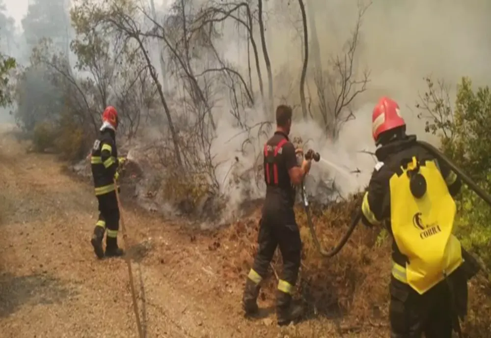 Incendiu de vegetaţie la nord de Atena