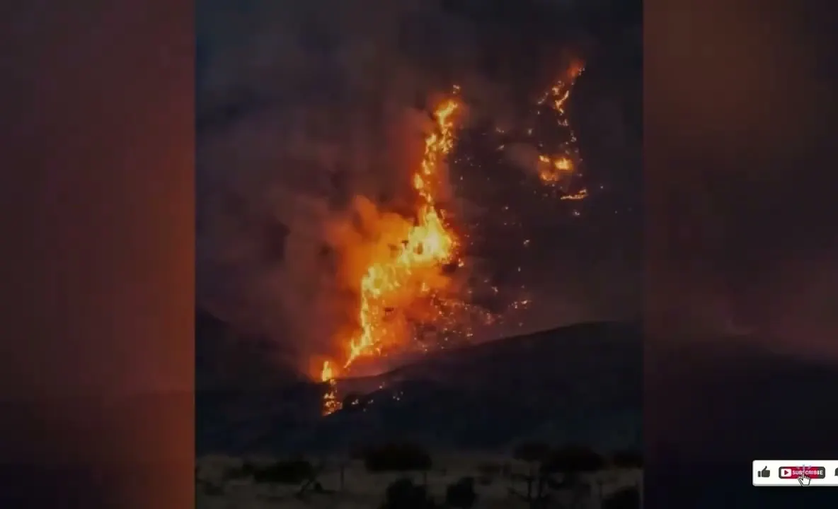 Stare de urgență în statul Washington: mii de oameni evacuați din cauza incendiilor puternice de vegetație