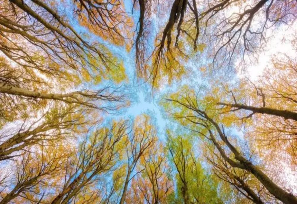 Se schimbă radical vremea. Ce temperaturi surprinzătoare se vor înregistra