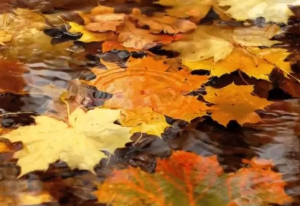 Ploi în mai multe zone din țară dar și temperaturi peste media perioadei