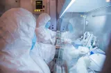 OMS cere Rusiei explicații după decesul unei cercetătoare la Institutul Anticiumă