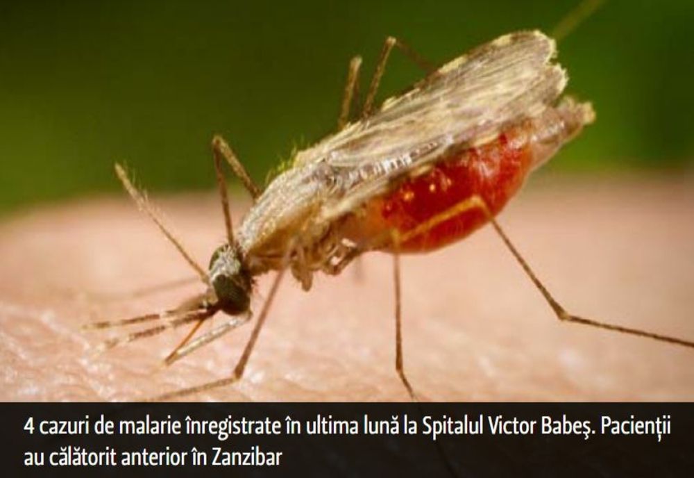 4 cazuri de malarie înregistrate în ultima lună la Spitalul Victor Babeş