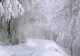 Prognoza meteo pe o lună. Temperaturile scad dramatic: ger năprasnic și ninsori abundente